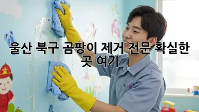 울산 북구 곰팡이 제거 전문, 확실한 곳 여기! 🏠✨